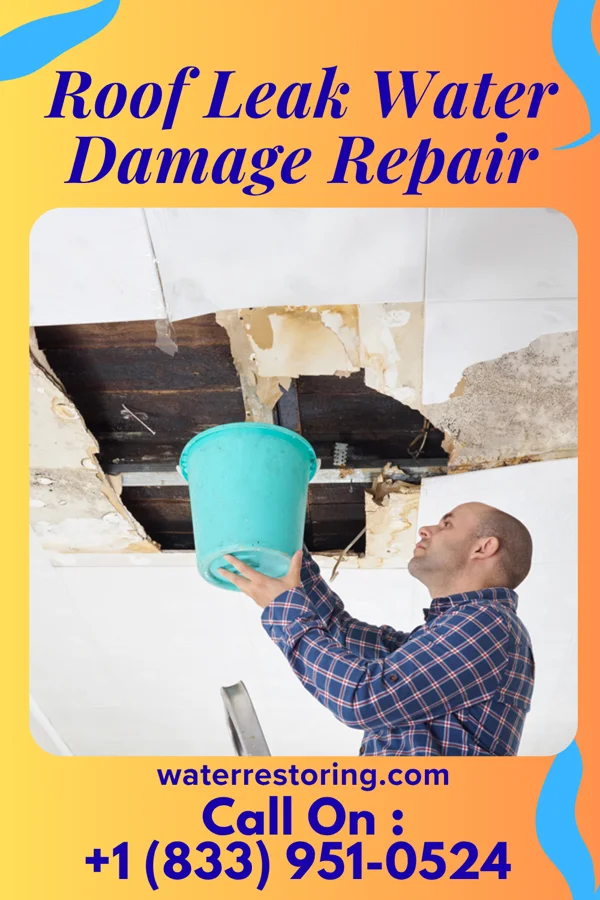 Roof Leak Water Damage Repair in Steinauer, NE